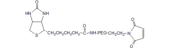 Biotin PEG Maleimide, Maleimide PEG Biotin           Cat. No. PG2-BNML-10k     10000 Da    100 mg