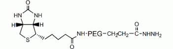 Biotin PEG hydrazide, Hydrazide PEG biotin           Cat. No. PG2-BNHZ-3k     3400 Da    50 mg