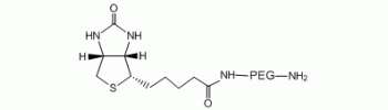 Biotin-PEG-NH2, Amino PEG Biotin           Cat. No. PG2-AMBN-10k     10000 Da    100 mg