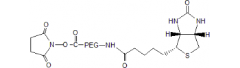 Biotin-PEG-NHS, NHS PEG Biotin           Cat. No. PG2-BNNS-2k     2000 Da    100 mg