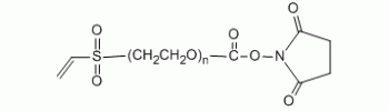 Vinylsulfone PEG NHS, VS-PEG-NHS           Cat. No. PG2-NSVS-3k     3400 Da    100 mg