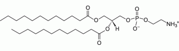1,2-dilauroyl-sn-glycero-3-phosphoethanolamine, DLPE           Cat. No. L3-DLPE     MW 579.746    50 mg