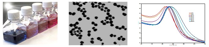 Gold Nanoparticles, Streptavidin Conjugated           Cat. No. GNA20     20 nm    1 mL