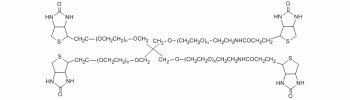 4-Arm PEG Biotin           Cat. No. PG4A-BN-10k     10000 Da    50 mg