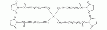 4 Arm PEG NHS           Cat. No. PG4A-NS-20k     20000 Da    250 mg