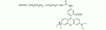 Rhodamine PEG Acid, RB-PEG-COOH           Cat. No. PG2-CARB-3k     3400 Da    10 mg