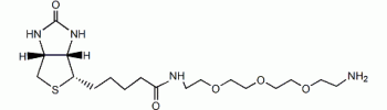 Biotin-PEG4-amine           Cat. No. B-P4A-1         5 mg