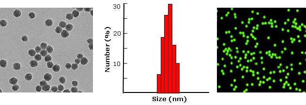 Silica nanoparticles, FITC lableled           Cat. No. Si100-FC-1     100 nm    1 mL