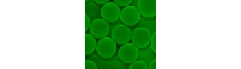 Silica beads, amine function           Cat. No. Si100-AM-1     100 nm    0.5 mL