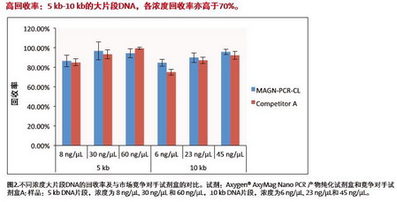 Axygen爱思进磁力架，产物纯化试剂盒IMAG-96-P-G