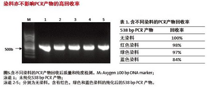 Axygen爱思进磁力架，产物纯化试剂盒IMAG-96-P-G