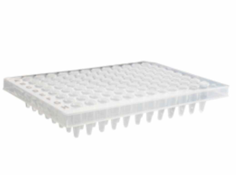 Axygen爱思进96孔pcr板，透明半裙边PCR-96M2-HS-C