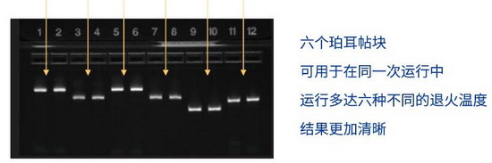 ABI进口PCR仪基因扩增仪-ABI进口PCR