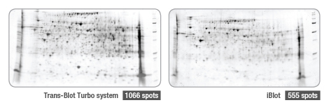 美国伯乐全能型蛋白转印系统1704150Trans-Blot Turbo