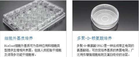 美国BD BioCoat包被细胞培养容器BD BioCoat