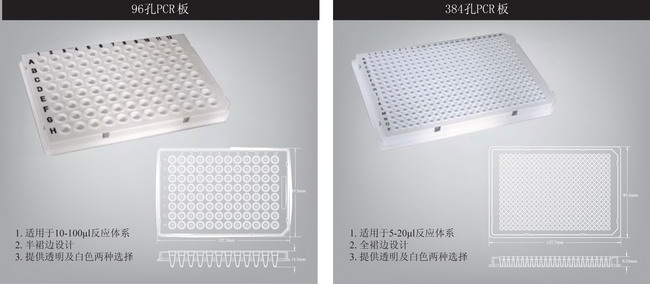 爱思进0.2ml八连管PCR管、八联排管、PCR板PCR-0208-C