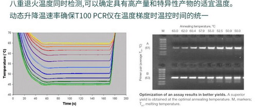 美国Bio-rad伯乐进口T100 PCR仪基因扩增仪T100