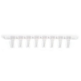 伯乐蓝色预染蛋白marker剂1610373/1610393Precision Plus Protein