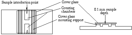 Hausser细胞计数板 1492