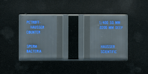 Hausser细胞计数板 1492
