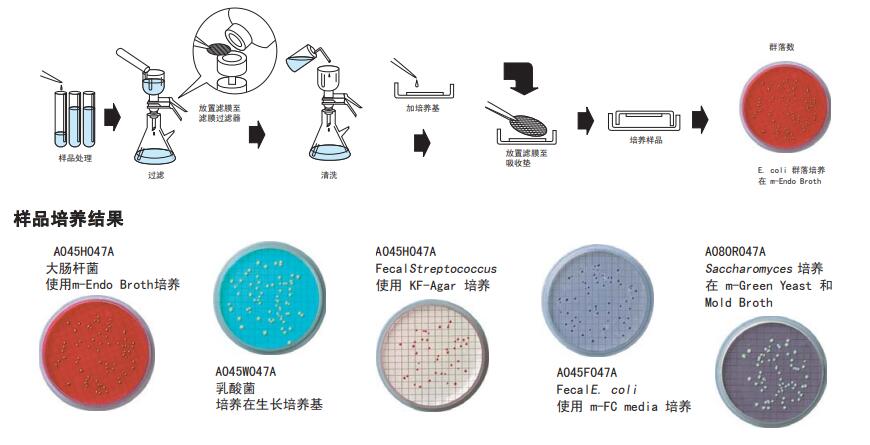 ADVANTEC 0.45UM47MM微生物分析膜A045H047A