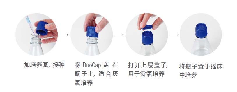 WHEATON 锥形瓶，瓶盖和夹具 - 塑料瓶