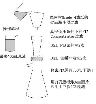 Whatman 沃特曼 FTA® Concentrator-PS&trade; 寄生虫纯化装置swb120220